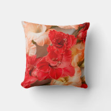 Vibrant Gladiolus flowers