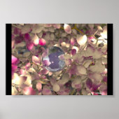 Vibrant II Poster (Vorne)