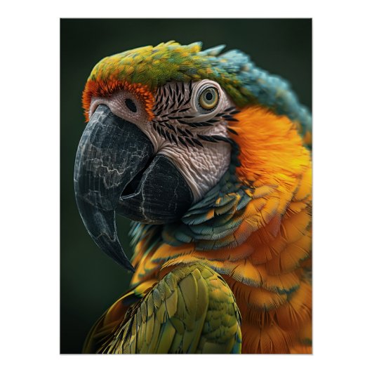 Vibrant Macaw Parrot Close-Up Fine Art Photo Poster (Vorderseite)