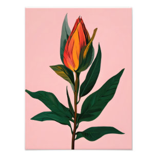 Vibrant Magnolia Bud Fotodruck