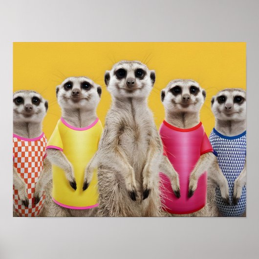 Vibrant Meerkat Group in stilvollen Outfits Poster (Vorne)