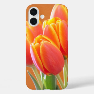 Vibrant Orange Tulip Fotografie iPhone 16 Plus Hülle