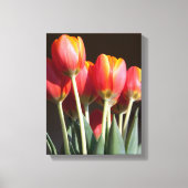 Vibrant Orange Tulip Fotografie Leinwanddruck (Vorderseite)
