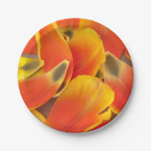 Vibrant Orange Tulip Petals Fotografie Pappteller (Vorderseite)