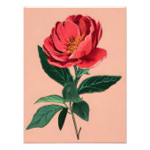 Vibrant Peony Fotodruck (Vorne)