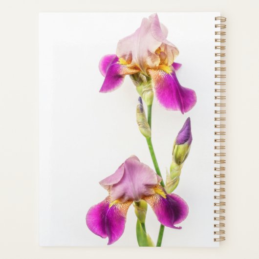 Vibrant pink and purple iris Planner Planer (Rückseite)