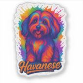 Vibrant Pop Art Havanese Dog – Colorful Street Art Aufkleber (Vorderseite)