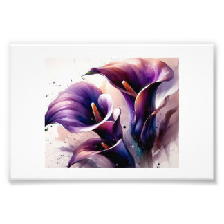 Vibrant Purple Calla Lilies, Fotodruck