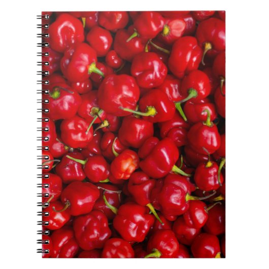 Vibrant Red Chili Pepper Harvest Notizblock (Vorderseite)