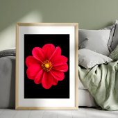 Vibrant Red Dahlia Fotodruck