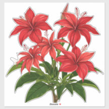 Vibrant Red Hibiscus Flower Bouquet