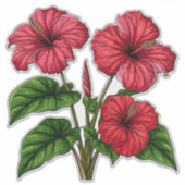Vibrant Red Hibiscus Flowers With Lush Green Leave Aufkleber (Vorderseite)