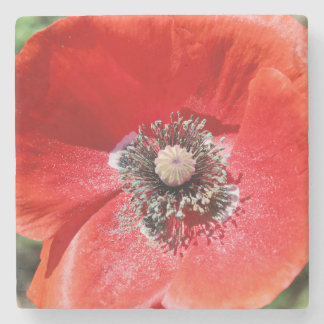 Vibrant Red Macro Botanical Poppy Floral Steinuntersetzer