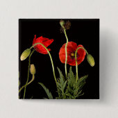 Vibrant Red Poppies on Black Button (Vorderseite)