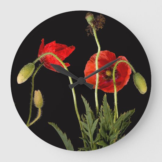 Vibrant Red Poppies on Black Große Wanduhr (Vorderseite)