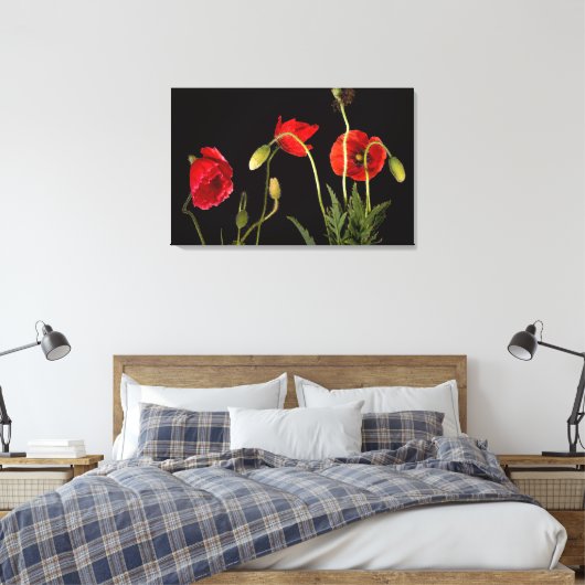 Vibrant Red Poppies on Black Leinwanddruck (Insitu (Schlafzimmer))