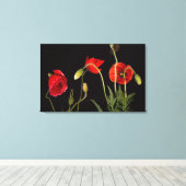 Vibrant Red Poppies on Black Leinwanddruck (Insitu (Holzboden))