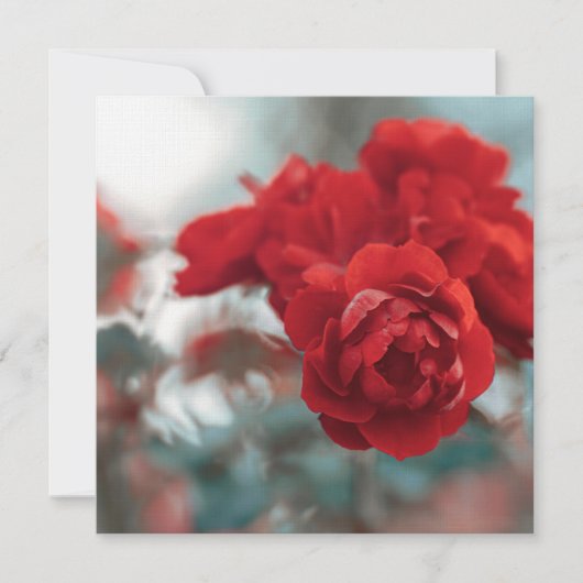 Vibrant Red Rose Bloom Botanical Greeting Card Dankeskarte (Vorderseite)