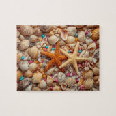 Vibrant Seashell Still Life on Teal Background Puzzle (Horizontal)