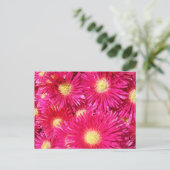 Vibrant trailing ice plant postkarte (Stehend Vorderseite)