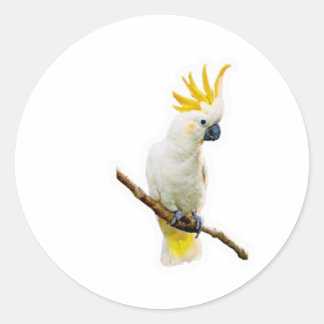 Vibrant Tropical Cockatoo - Exotic Indonesian Parr Runder Aufkleber
