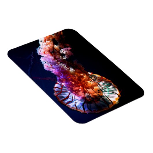 Vibrant Tropical Undersea Jellyfish Magnet (Rechte Seite)