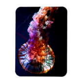 Vibrant Tropical Undersea Jellyfish Magnet (Vertikal)