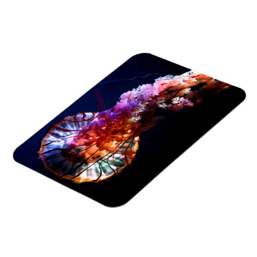 Vibrant Tropical Undersea Jellyfish Magnet (Linke Seite)