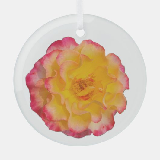 Vibrant Yellow and Pink Rose Ornament Aus Glas (Vorderseite)
