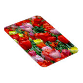 Vibrant Yellow and Red Tulips Garden Photo Magnet (Rechte Seite)