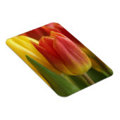 Vibrant Yellow and Red Tulips Garden Photo Magnet (Rechte Seite)
