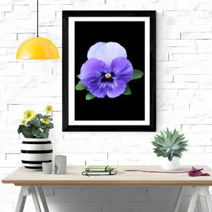 Vibrany Pansy Floral Art Print Fotodruck