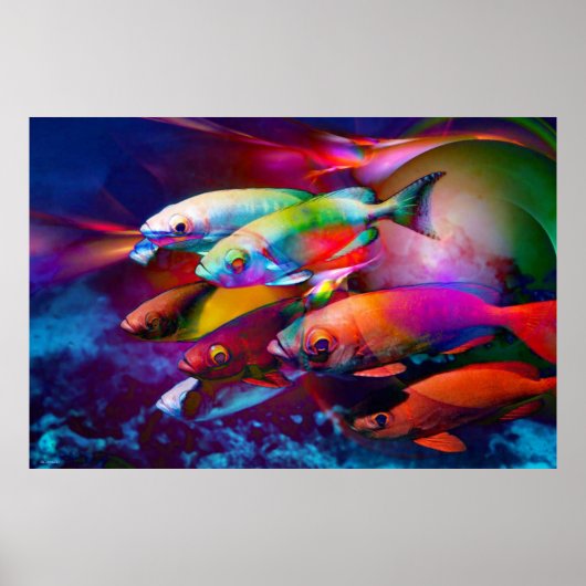 VIBRANZ POSTER (Vorne)