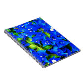 Vibrierende blaue Bouganvilla-Blumen Notizblock (Rechte Seite)