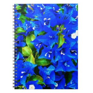 Vibrierende blaue Bouganvilla-Blumen Notizblock