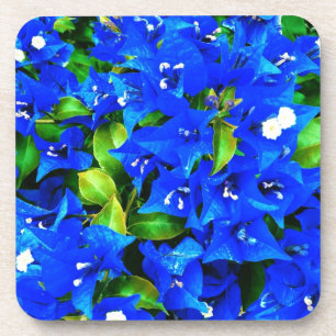 Vibrierende blaue Bouganvilla-Blumen Untersetzer