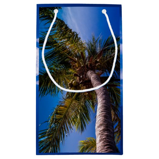 Vibrierende blauer Himmel-tropische Kleine Geschenktüte (Rückseite)