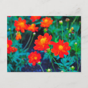 Vibrierende Blume nach Karte
