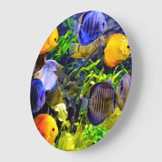 Vibrierende bunte tropische Seewasserfische Große Wanduhr (Winkel)