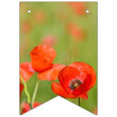 Vibrierende Mohnblumen auf einem Mohnblumengebiet Wimpelkette (Erste Fahne)