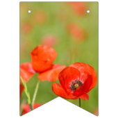 Vibrierende Mohnblumen auf einem Mohnblumengebiet Wimpelkette (Dritte Fahne)