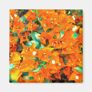 Vibrierende orange Bouganvilla-Blumen Magnet