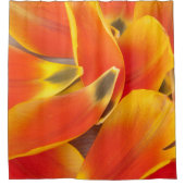 Vibrierende orange Tulpe-Blumenblatt-Fotografie Duschvorhang (Vorderseite)
