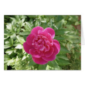 Vibrierende Pink Peony Blume wird bald gut. (Vorderseite (Horizontal))