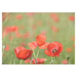 Vibrierende rote Mohnblumen auf einem grünen Tischdecke