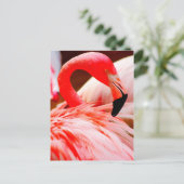 Vibrierender rosa Feder-Flamingo Postkarte (Stehend Vorderseite)