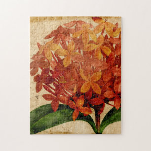 Vibrierendes Blumen-III Puzzle