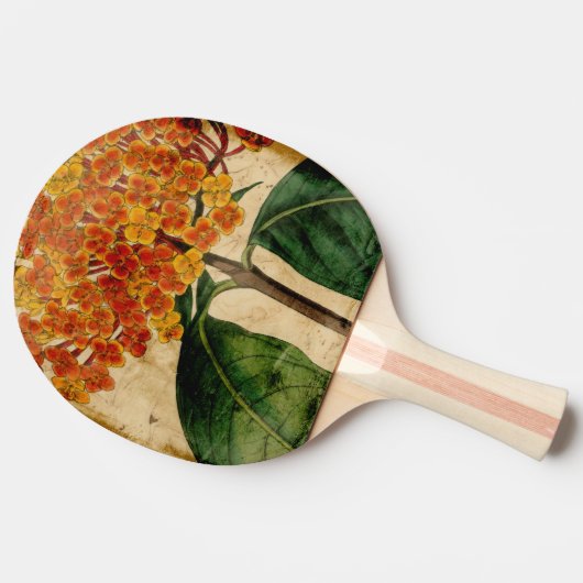 Vibrierendes Blumeni Tischtennis Schläger (Seitenansicht)