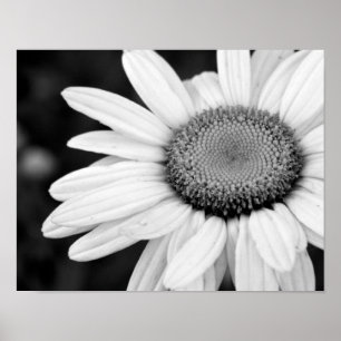 vibrierendes MakroSchwarzweißfotografie mit Blumen Poster
