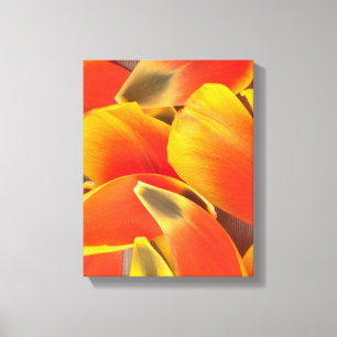 Vibrierendes orange Tulpe-Blumen-Blumenblatt-Foto Leinwanddruck